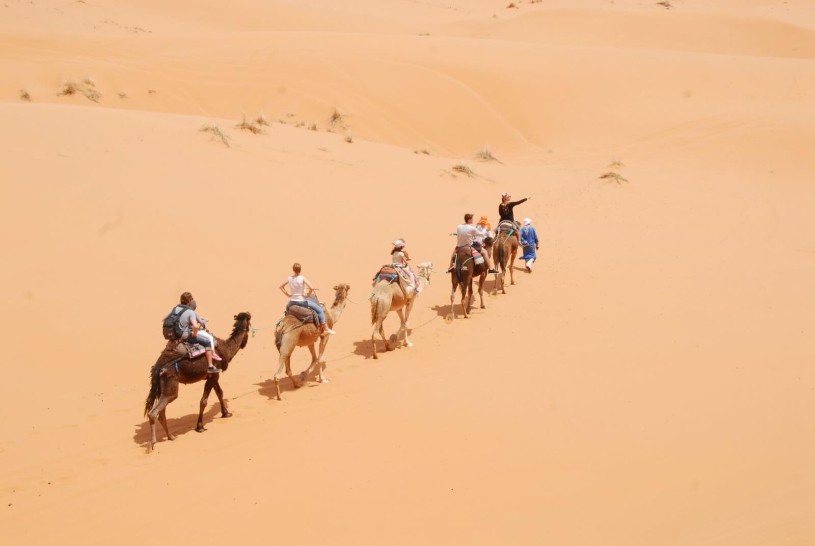 قافلة جمال تعبر الكثبان الرملية في صحراء المغرب